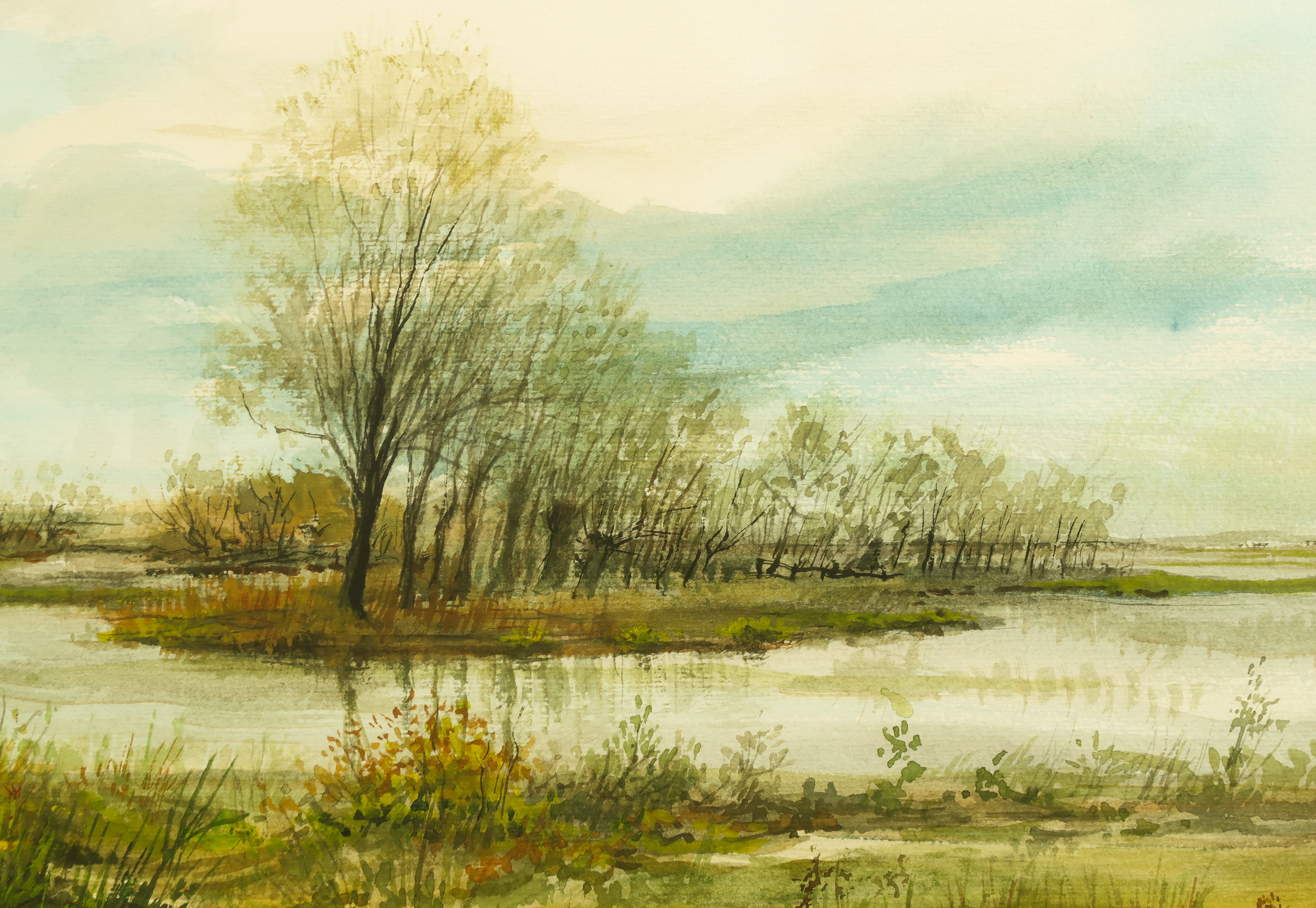 Niet of onleesbaar gesigneerd - Aquarel, Veenlandschap - Ingelijst kopen? Bied vanaf 1!