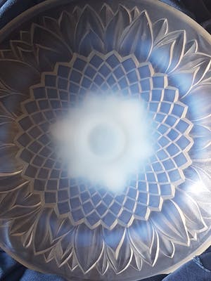 Rene Lalique - Leafs kopen? Bied vanaf 1!