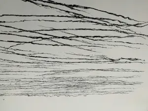 Willem den Ouden - litho De Waal 1991 nummer V/X kopen? Bied vanaf 79!