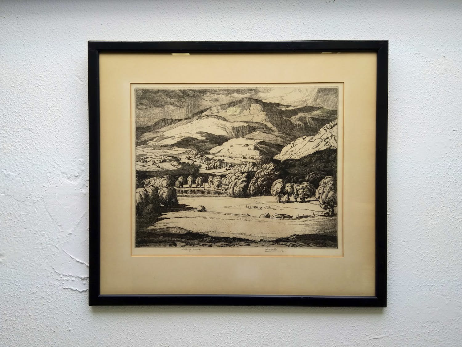 Leslie Moffat Ward - "Coniston, Old man." verkocht voor € 45!