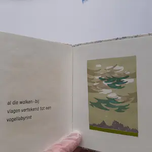 Hans van Draanen - Haiku in duplo kopen? Bied vanaf 60!