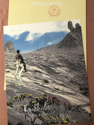 Panamarenko - Knikkebeen kopen? Bied vanaf 935!