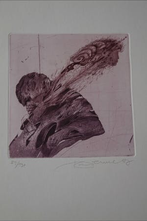 Karel Demel - Vioolsnaren kopen? Bied vanaf 5!