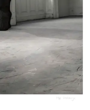 Mr. Strange - To Be or not to Be kopen? Bied vanaf 100!