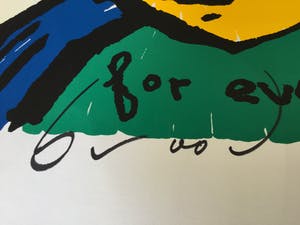 Herman Brood - Herman Brood - Originele handgesigneerde zeefdruk - For Ever kopen? Bied vanaf 300!