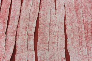 Anneke Copier - & Claudio Varone, Vilten wandkleed (Zeer groot) kopen? Bied vanaf 1!