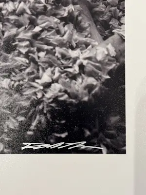 Paul Blanca - Foto: “Mama “ kopen? Bied vanaf 150!