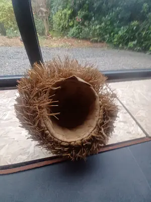 Kuba - Mukenga Mask kopen? Bied vanaf 250!