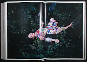 Nobuyoshi Araki - Gesigneerde XXL Limited Collector’s Edition, Araki + 2 ingelijste foto's kopen? Bied vanaf 1!