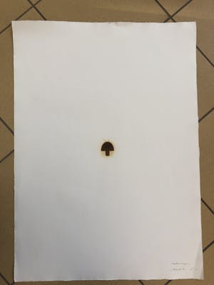 Jan van Munster - Nucleare energie - pyrografie kopen? Bied vanaf 195!