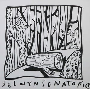 Selwyn Senatori - Acryl op doek, Wood Wood kopen? Bied vanaf 100!