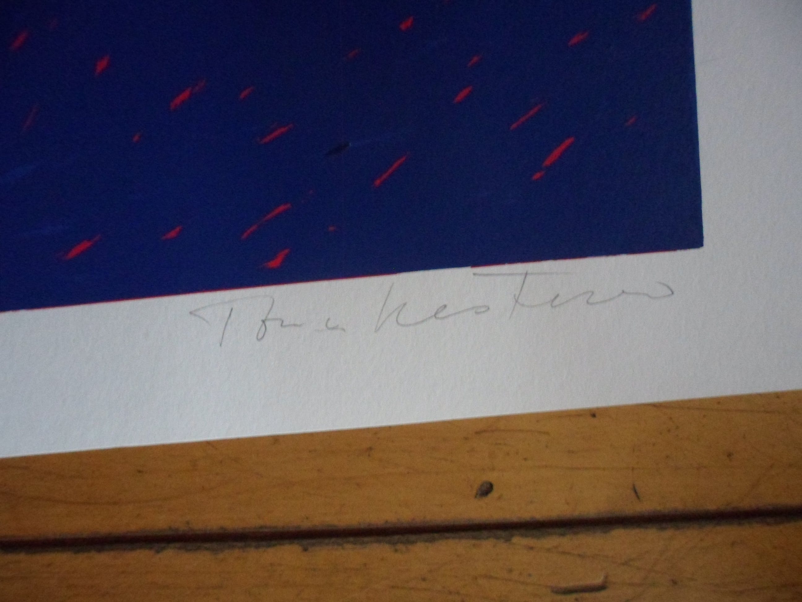 Ton van Kesteren - Zeefdruk, titel "Spotvogel". kopen? Bied vanaf 10!