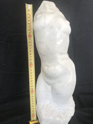 Frans Peeters - torso kopen? Bied vanaf 100!