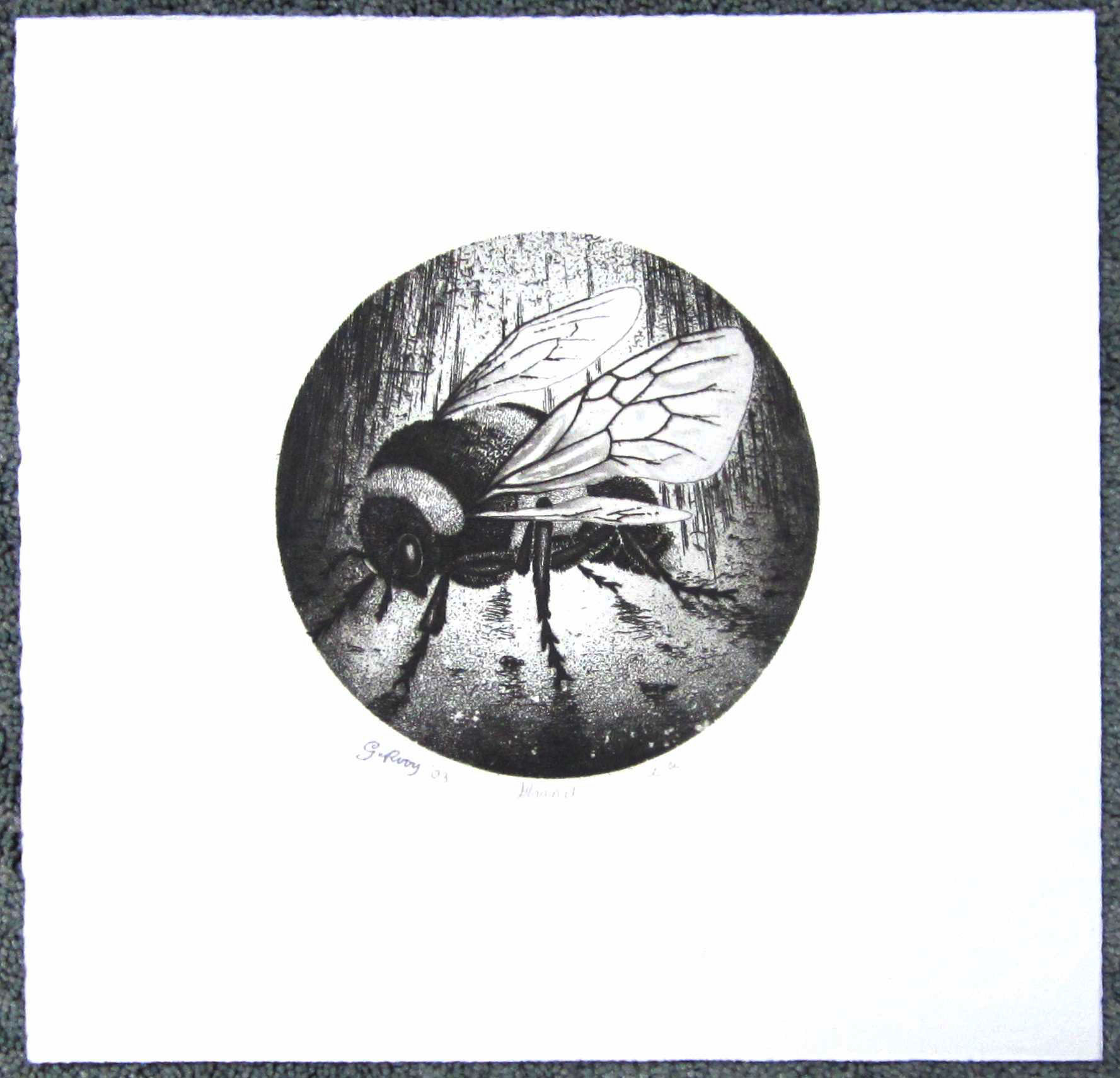 Gerard van Rooy - ets (Hommel) met boek Gerard van Rooy etser verkocht voor € 150!