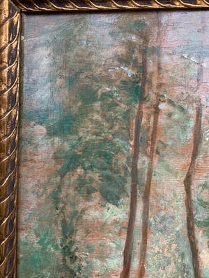 Xavier De Cock - Boszicht / Sous-bois kopen? Bied vanaf 69!