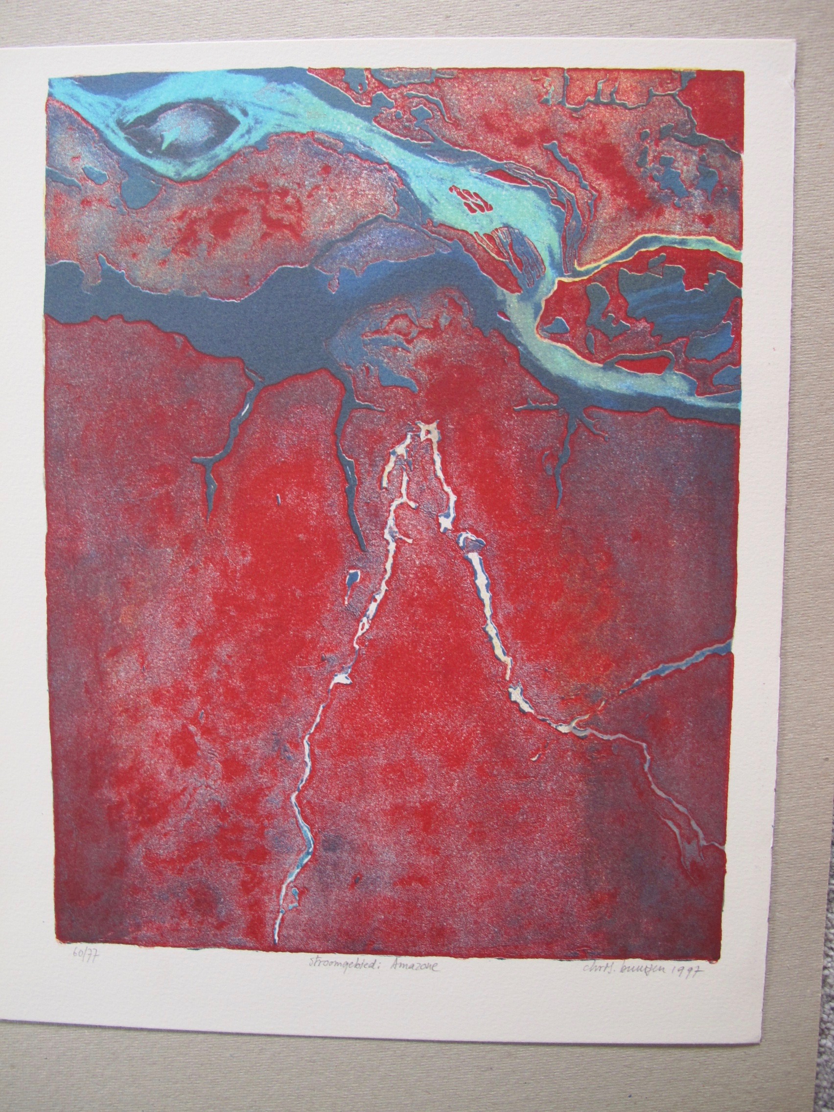 Chris Buursen - stroomgebied kopen? Bied vanaf 15!