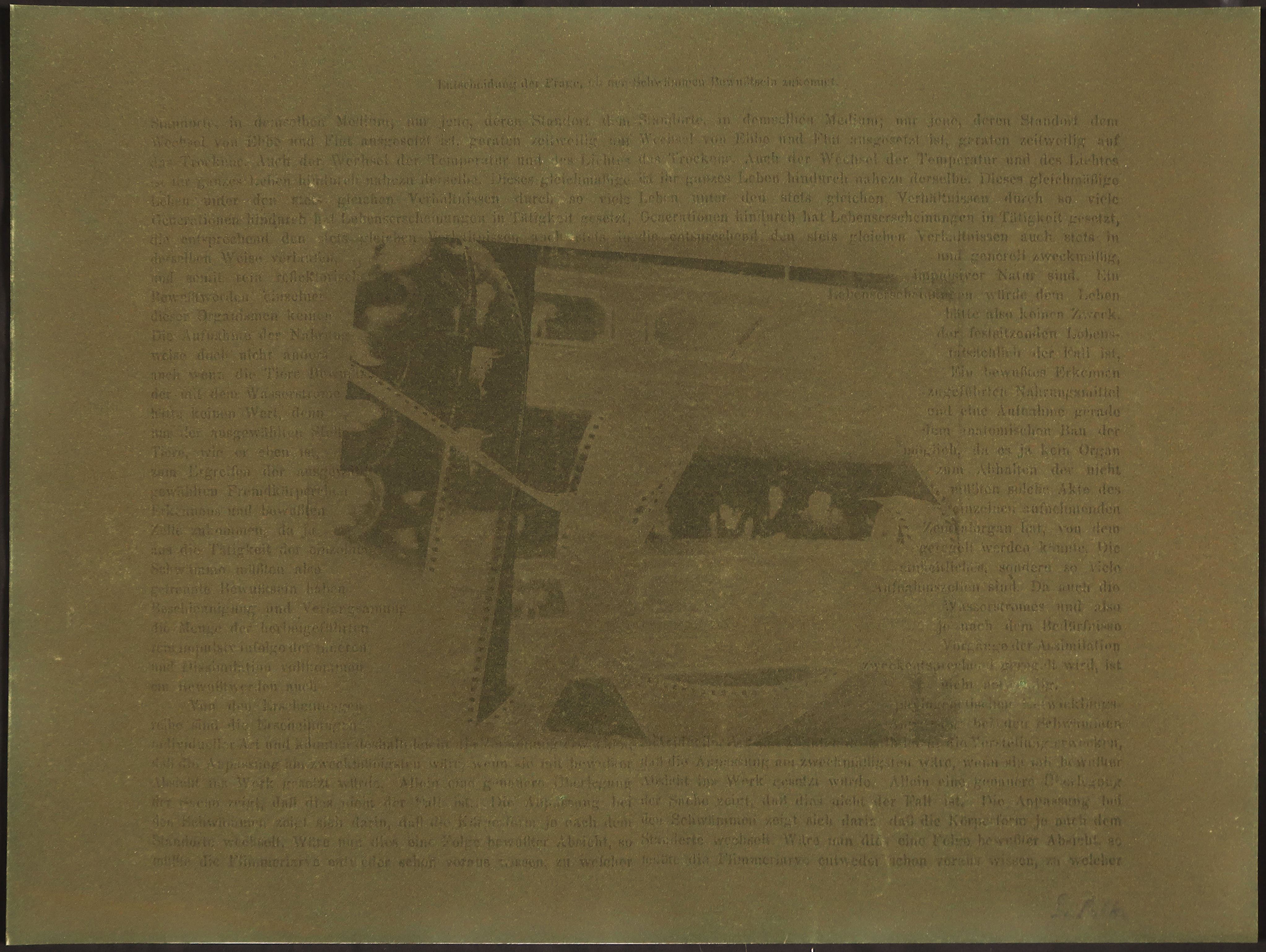 Sigmar Polke - Offset op velourpapier, In der Oper verkocht voor € 100!