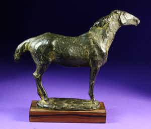 Floyd Tennison Dewitt - Paard verkocht voor € 850!