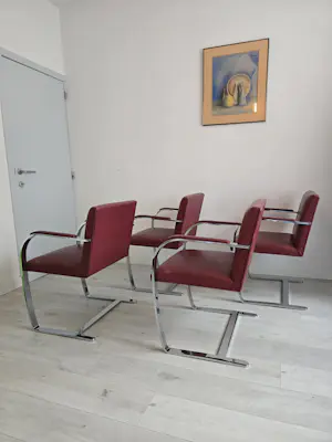 Ludwig Mies van der Rohe - Voor Knoll kopen? Bied vanaf 995!