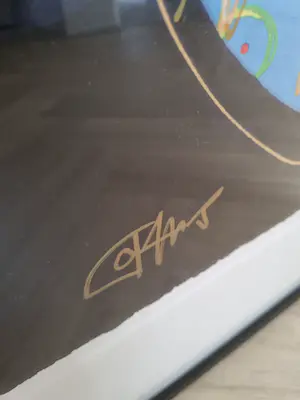 Joyce van Oorschot - Je suis allergique a boeuf kopen? Bied vanaf 300!