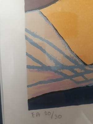 Corneille - Femme Jaune et tigre kopen? Bied vanaf 265!