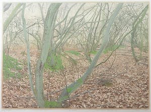 Siemen Dijkstra - Houtsnede, Vroeg voorjaar in eindig kienvenbos - Ingelijst kopen? Bied vanaf 100!