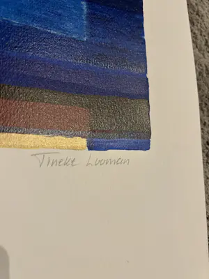 Tineke Looman - New opportunities kopen? Bied vanaf 20!