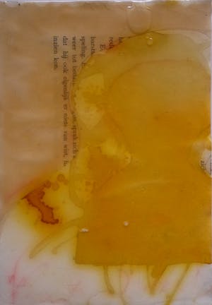 Irene van den Bos - Ocre Head kopen? Bied vanaf 12!