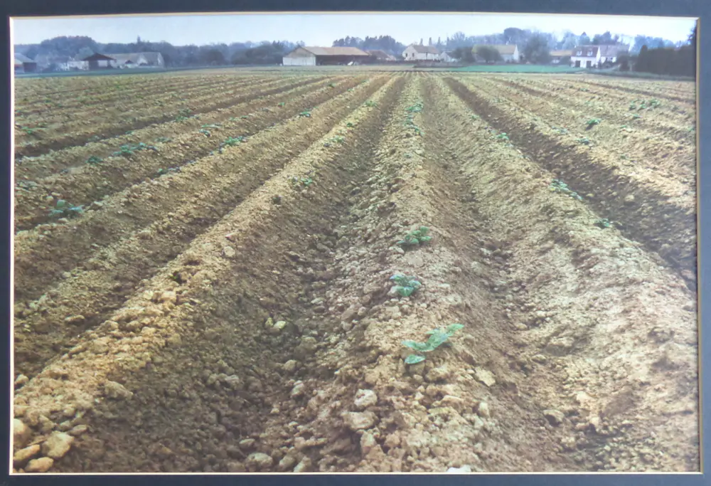 Paul Huf (1924-2002)