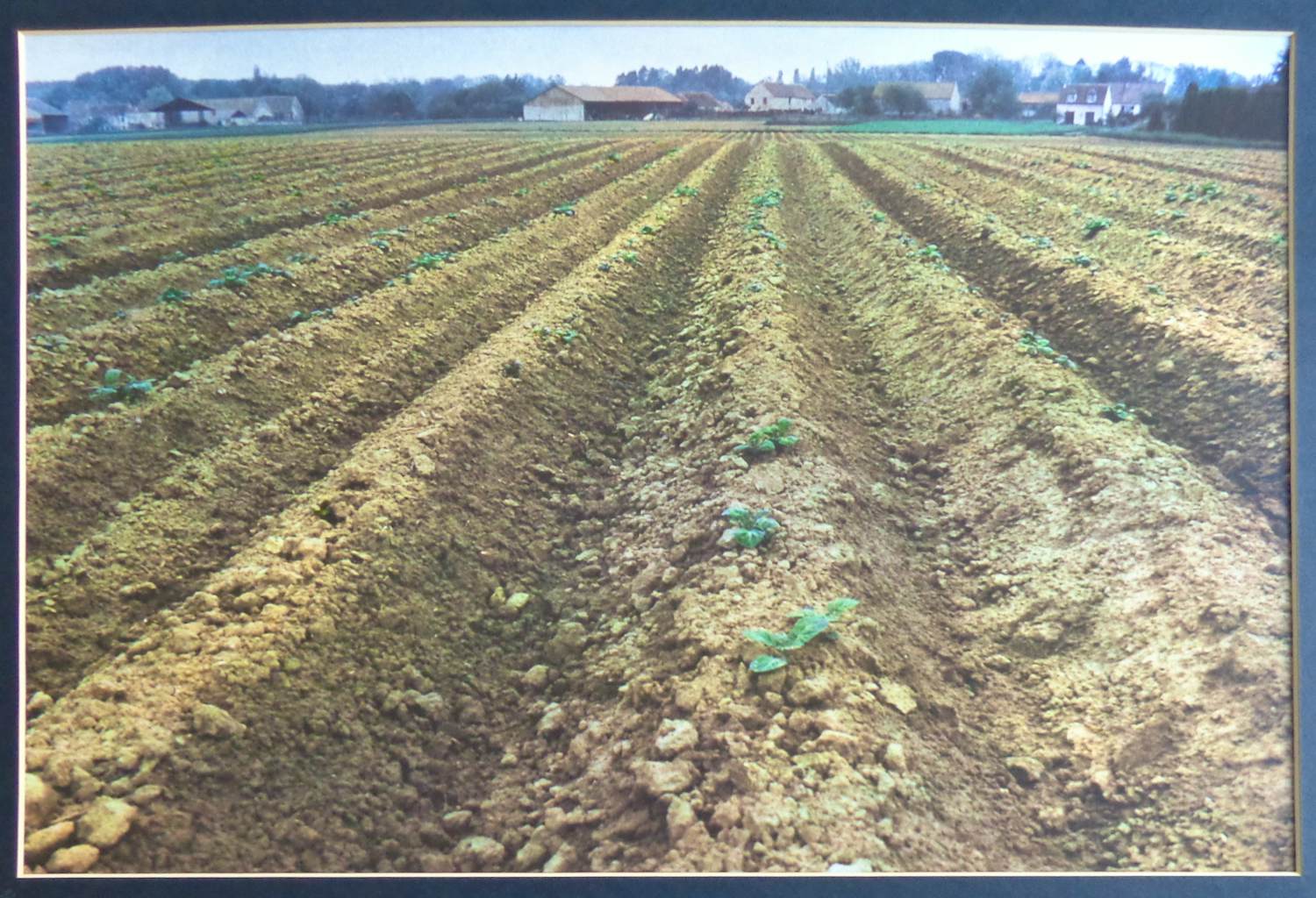 Paul Huf - AKKER / C-PRINT / 60x80cm / SIG / 1985 / PASSE-PARTOUT kopen? Bied vanaf 45!