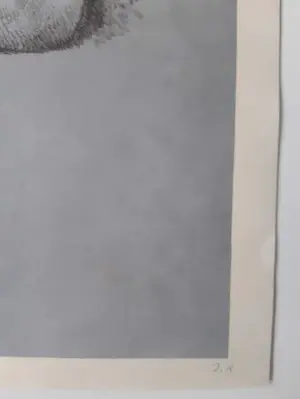 John Raedecker - Man in de nacht kopen? Bied vanaf 40!