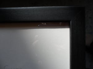 Sees Vlag - Zeefdruk, Plein met beeld van Johan de Witt kopen? Bied vanaf 80!