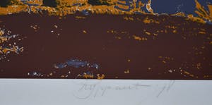 Cees Rijppaert - Plastic in the landscape IX # oplage 15, genummerd/gesigneerd kopen? Bied vanaf 15!