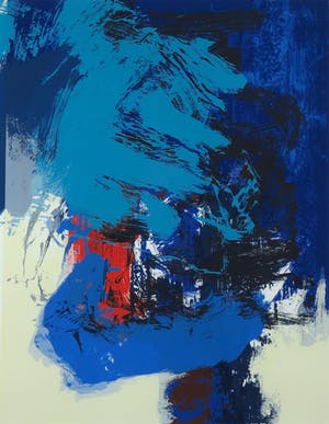 Robbert Fortgens - Zeefdruk, Vlag langs de Douro II - Ingelijst kopen? Bied vanaf 35!