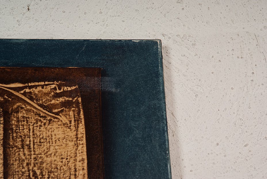 Anneke Steenbeek - Olieverf op doek - 6 kopen? Bied vanaf 25!