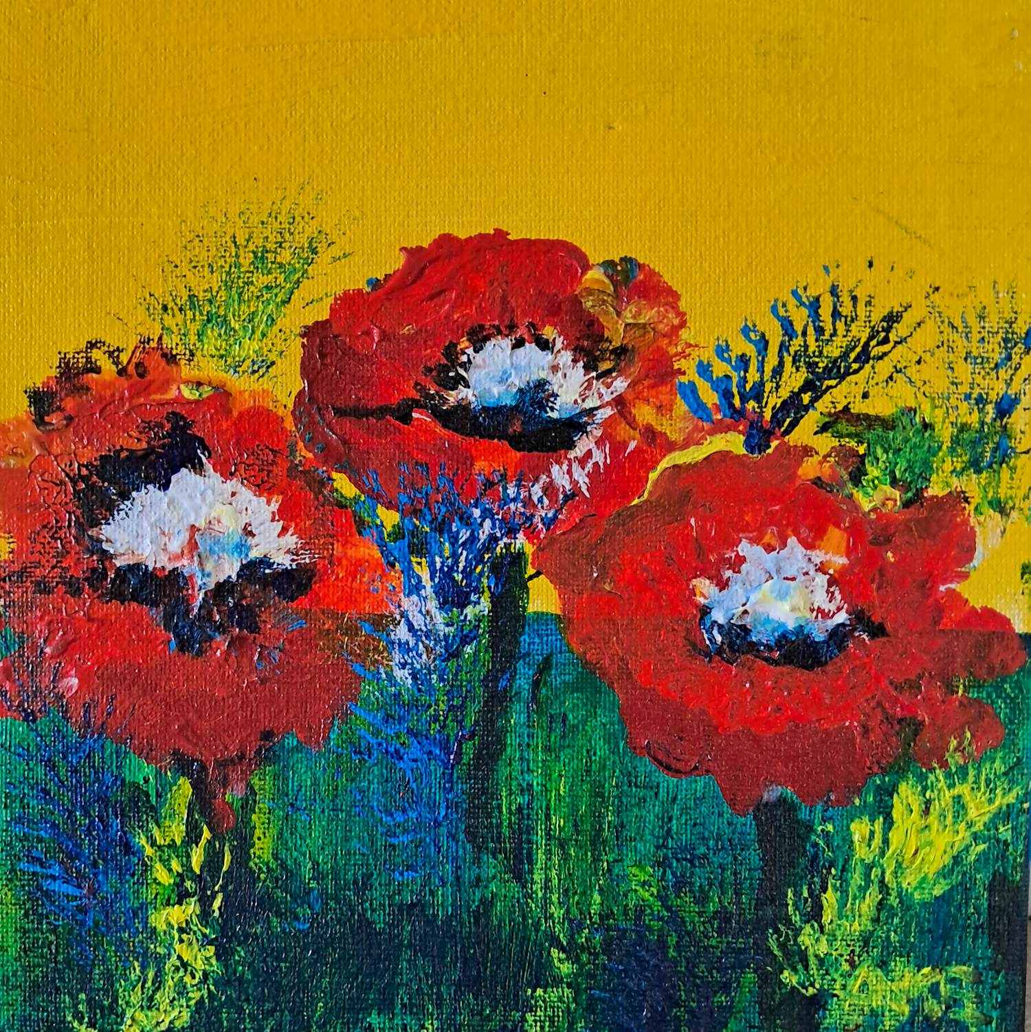 Anke Peddemors - Papaverveld 003 kopen? Bied vanaf 30!