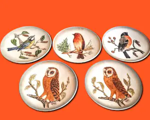 AcheterPorzellanfabrik W. Goebel - Relief Wandteller 5er Set Porzellan "Vögel" aus der Wildlife Serie 70er Jahren? Enchérissez de 48!