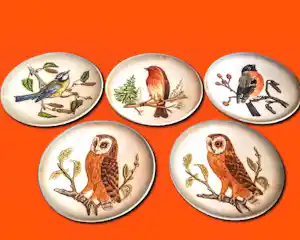 AcheterPorzellanfabrik W. Goebel - Relief Wandteller 5er Set Porzellan "Vögel" aus der Wildlife Serie 70er Jahren? Enchérissez de 48!
