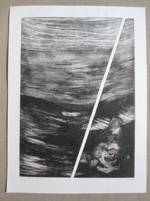 Jan Haas - Gesigneerde ets kopen? Bied vanaf 30!