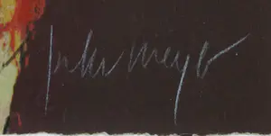 Peter Meijer - Zeefdruk, Son of a Beach - Ingelijst kopen? Bied vanaf 1!