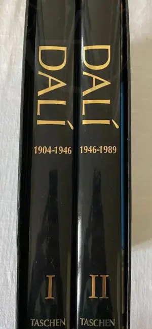 Salvador Dali - Das malerische Werk. Complete ouvre in 2 cassettes. kopen? Bied vanaf 40!