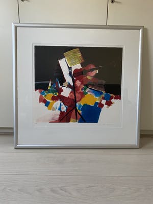 Jan Peter van Opheusden - Viool kopen? Bied vanaf 1!