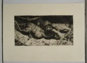 Floris Verster - Twee geplukte hanen kopen? Bied vanaf 60!