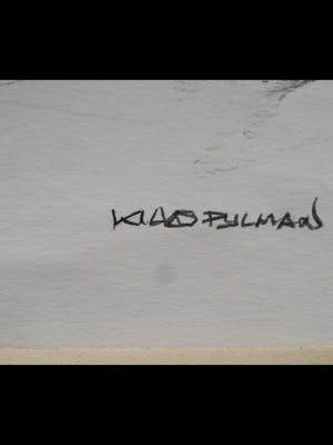 Klaas Pijlman - Liggend maakt. kopen? Bied vanaf 35!