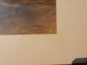 Willem Steelink (jr.) - schaapskudde naar de schaapskooi kopen? Bied vanaf 200!