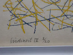 Theo Tomassen - Birdsnest I, II, III en IV kopen? Bied vanaf 50!