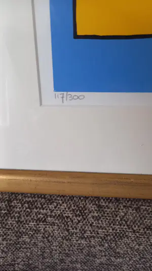 Shunyam - Kleurig hart. kopen? Bied vanaf 35!