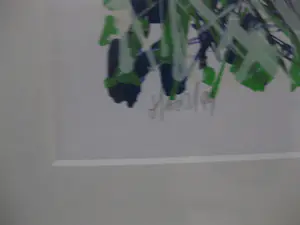 Ad van Hassel - Tulpen blauw kopen? Bied vanaf 50!