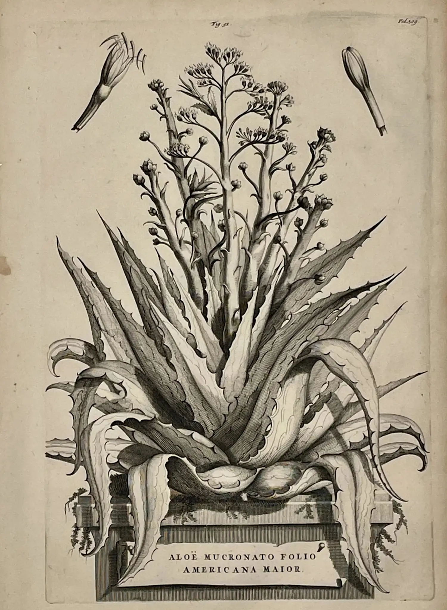 Joseph Mulder (1658-1718)