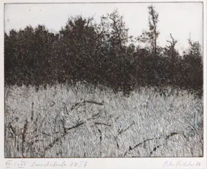 Peter Redeker - Ets, Landschaft - Ingelijst kopen? Bied vanaf 80!